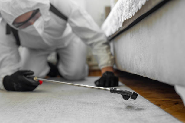 Professional Ant Control technician working in Falfurrias, TX