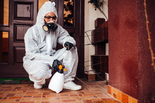 Reliable Ant Control contractor in Falfurrias, TX by Show Me Pest Control
